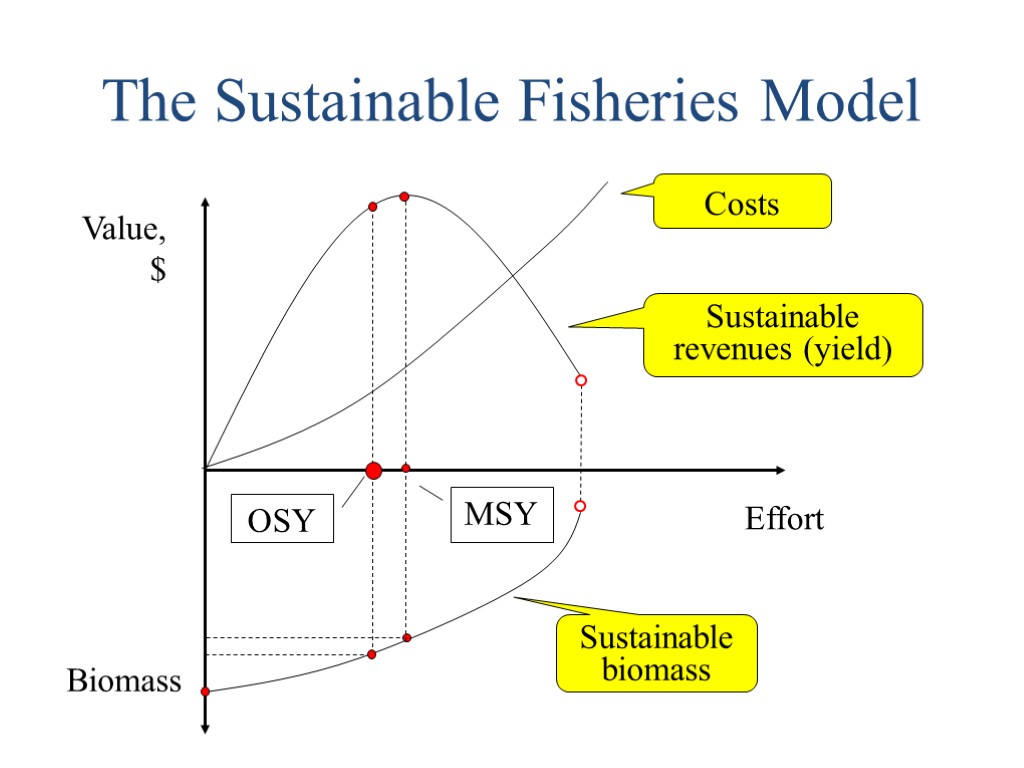 The Sustainable Fisheries Model